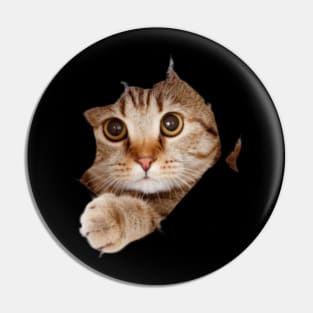 cat lover gifts for cat people Pin