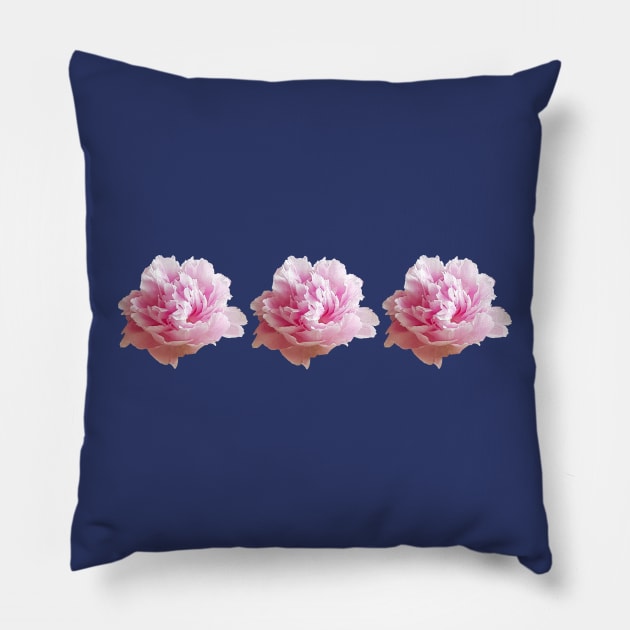 Three Pink Peony Flower Photos Pillow by ellenhenryart