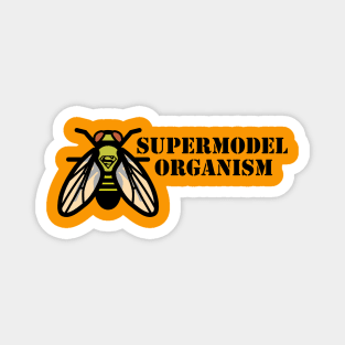 Drosophila Fruit Fly Supermodel Model Organism Magnet