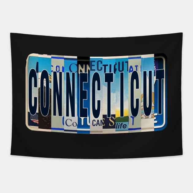 Connecticut License Plates Tapestry by stermitkermit