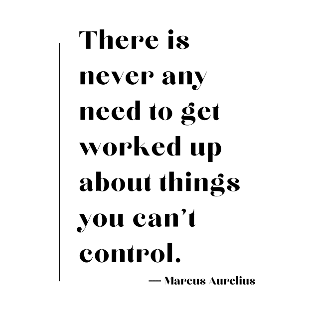 “There is never any need to get worked up about things you can't control.” Marcus Aurelius by ReflectionEternal