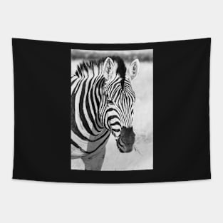 Zebra portrait. Tapestry