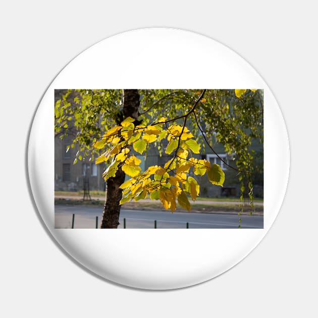 Yellow and green autumn leaves 2 Pin by Parafull