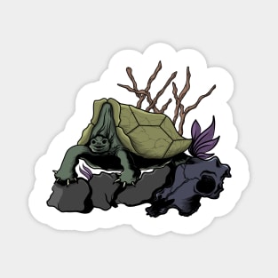 Ancient Turtle Skull Design Magnet