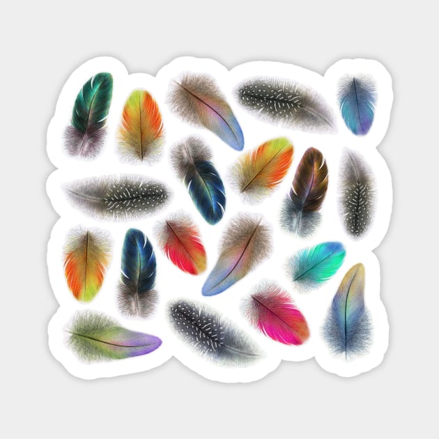 Colorful feathers - Bird art illustration Magnet by Dzydaria
