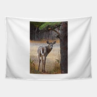 Gotcha! - White-tailed Deer Tapestry