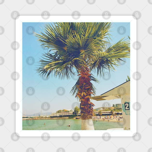 Pretty picture of a Palm Tree. Pretty Palm Trees Photography design with blue sky Magnet by BoogieCreates