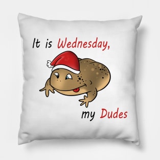 It is Wednesday my Dudes Pillow