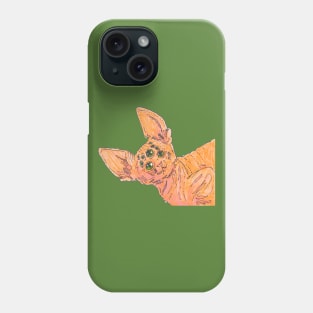 Spider Cat Phone Case