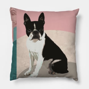 Alert Boston Terrier. Pillow