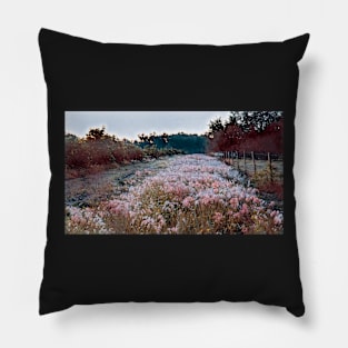 Cow Pasture Pillow