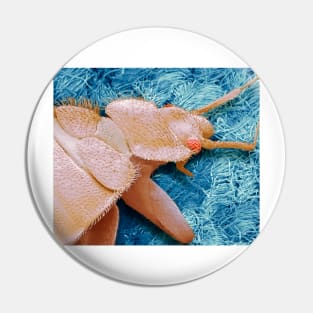 Bedbug, SEM (C013/2292) Pin