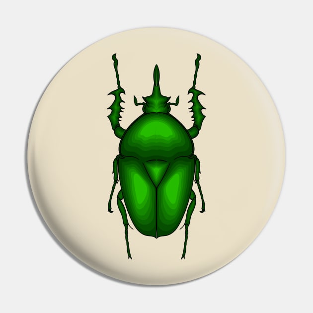 Mecynorhina torquata bug cartoon illustration Pin by Cartoons of fun