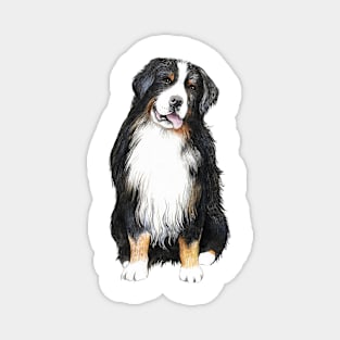 Bernese Mountain Dog Magnet