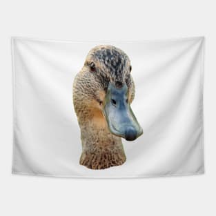 Hello Ducky Tapestry