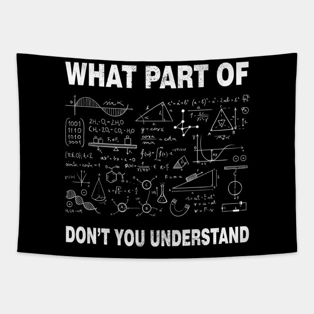 Cool Math What Part Of Don't You Understand | Funny Math Teacher Tapestry by Meryarts