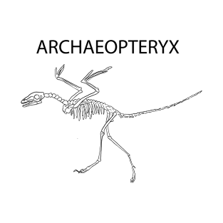 Dinosaurier Fossil Skelett Archaeopteryx T-Shirt