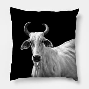 white cow Pillow