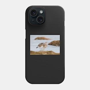 Ptarmigan Phone Case