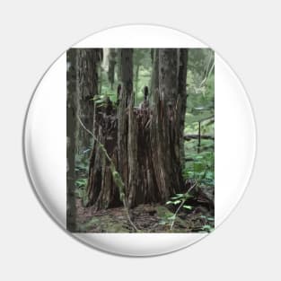 Stump In The Forest Pin