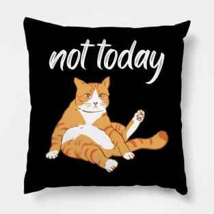 Lazy Cat Nope not Today funny sarcastic messages sayings and quotes Pillow