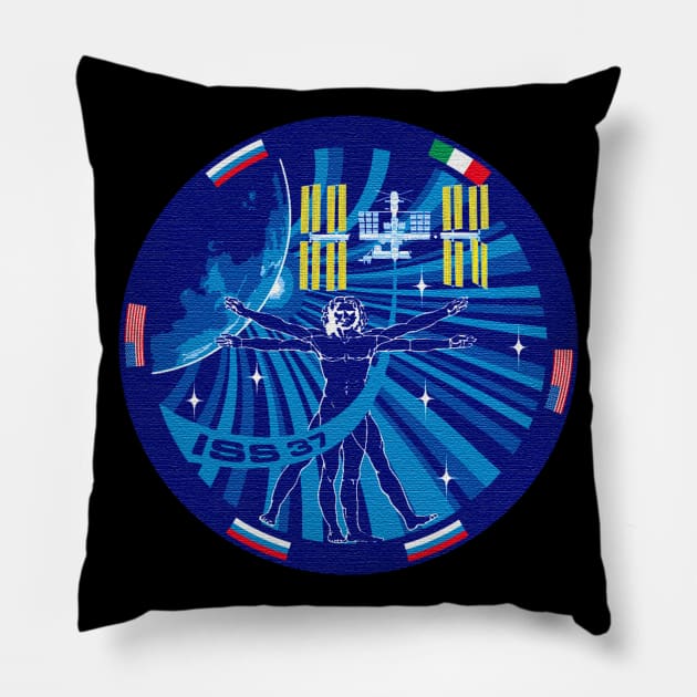 Black Panther Art - NASA Space Badge 163 Pillow by The Black Panther