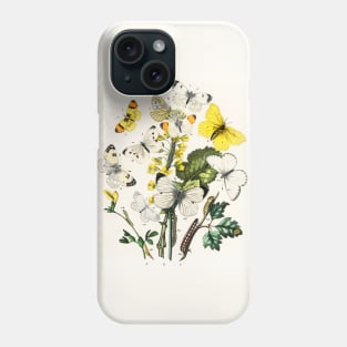 A kaleidoscope of fluttering butterflies and caterpillars (1882) Phone Case