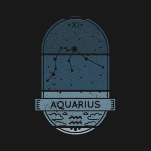 Aquarius Mom T-Shirt