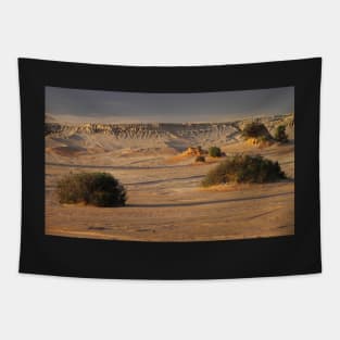 Subtle Sunset Glow at Mungo Tapestry