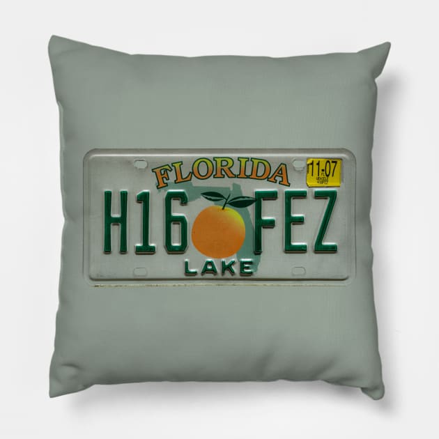 Lake County Florida License Plate Pillow by Enzwell