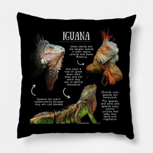 Animal Facts- Iguana Pillow