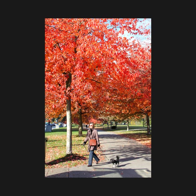 Walking the Dog in a Park, Vancouver City, Canada by Carole-Anne