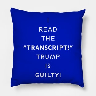 I Read The Transcript Pillow