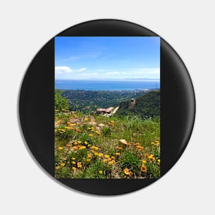 California Spring Time Pin