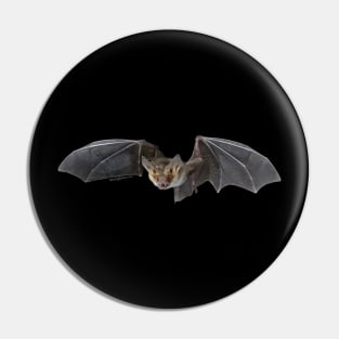 Bat! Pin