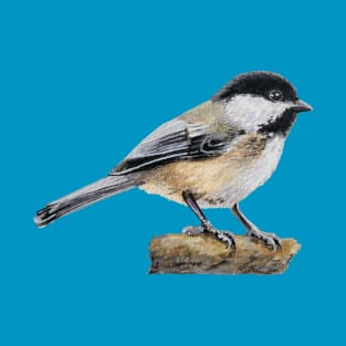 Chickadee Drawing 4 (no background) T-Shirt