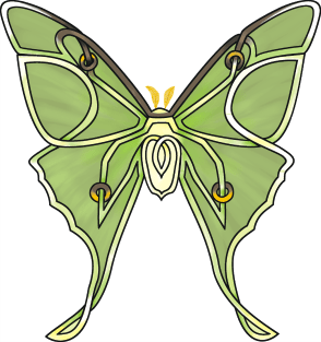 Luna Moth Magnet