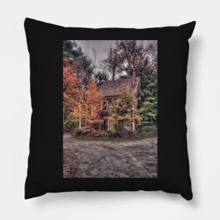 Maniac In Decline Pillow