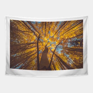 Autumn Forest White Birch Tree Tapestry