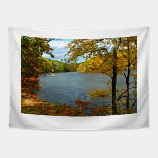 Murphysboro Lake (7) Tapestry