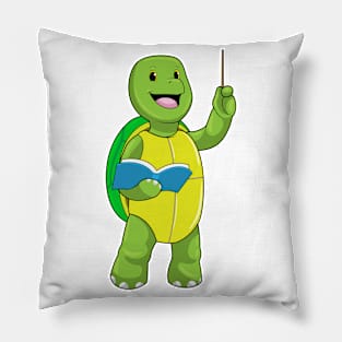 Turtle as Teacher with Book & Pointer Pillow