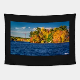 Autumn Colors in Kearney Lake Tapestry