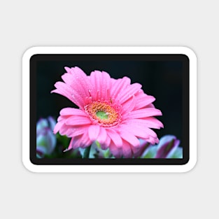 Flower series Magnet