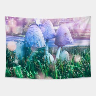 Mushroom Daydreams Tapestry