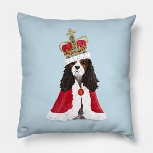 His Majesty King Charles Fun Coronation Souvenir on blue Pillow