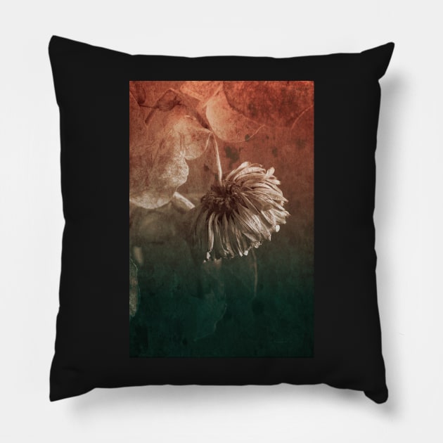 Petals Pillow by RJDowns