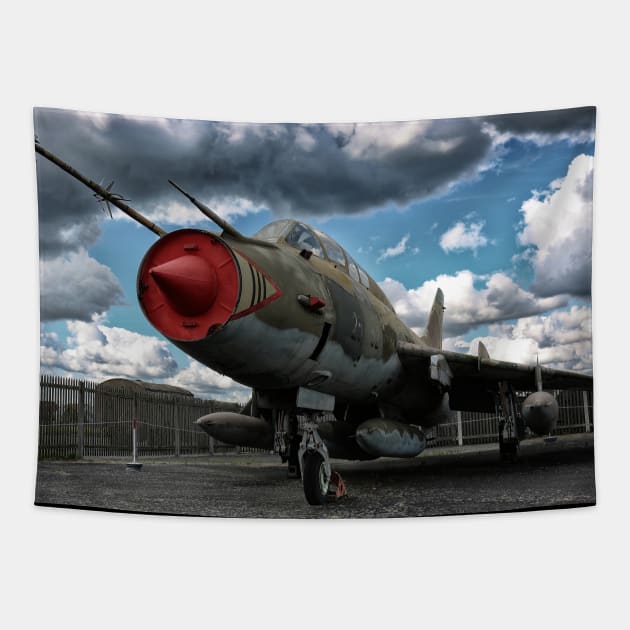 german aircraft, jagdbomber Tapestry by hottehue