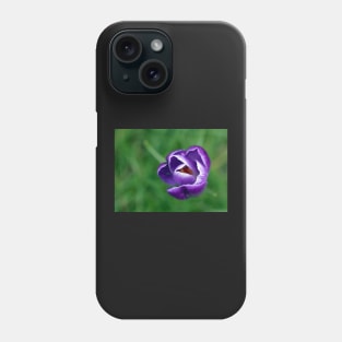 Single purple crocus Phone Case