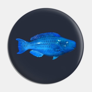 Blue Parrotfish Pin