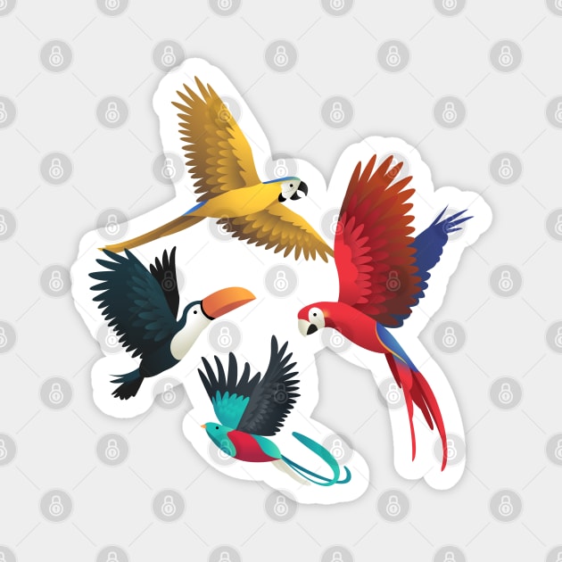 Parrots Collection Magnet by Mako Design 